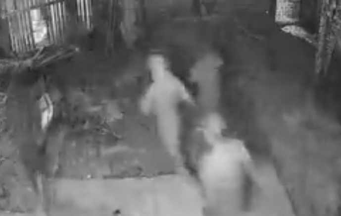 Vídeo mostra criminosos arrombando casa e executando homem em Manaus 