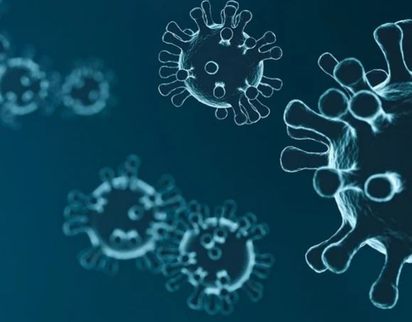 Cientista diz que variante encontrada em Manaus é risco global