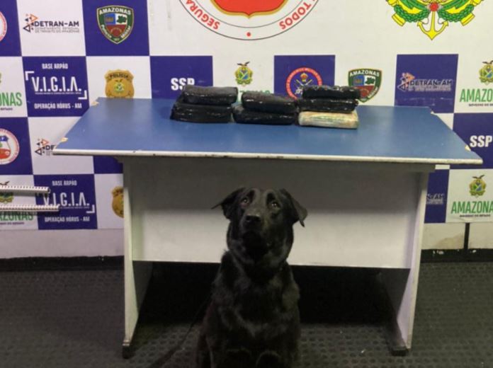 Comandante é detido após PM achar 6 kg de drogas na lixeira de barco no Amazonas