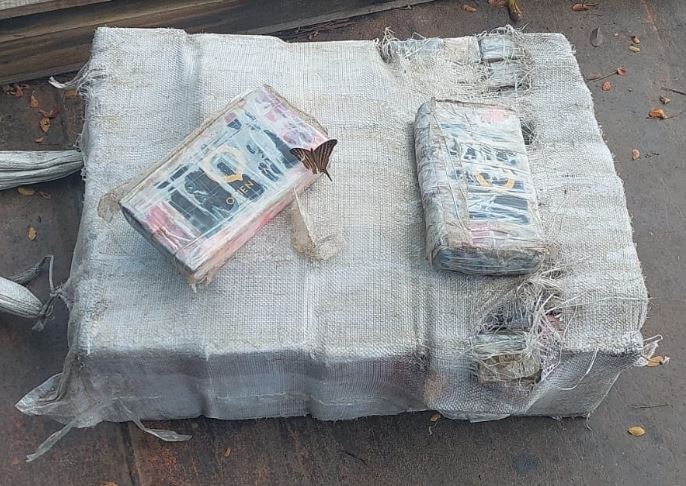 PM faz varredura em área de mata e encontra R$ 4,5 milhões em maconha no Amazonas