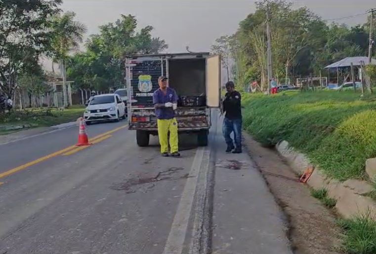 Idosa morre na frente do marido ao ser atropelada por carreta na BR-174