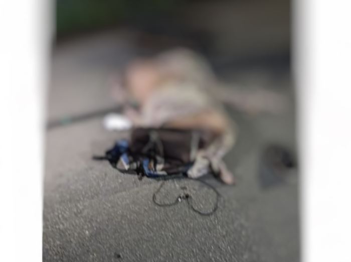 Homem é esquartejado e abandonado sem cabeça ao lado de bilhete em Manaus