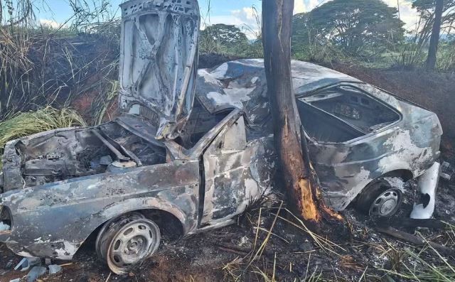 Sertanejo é carbonizado ao bater em árvore durante acidente