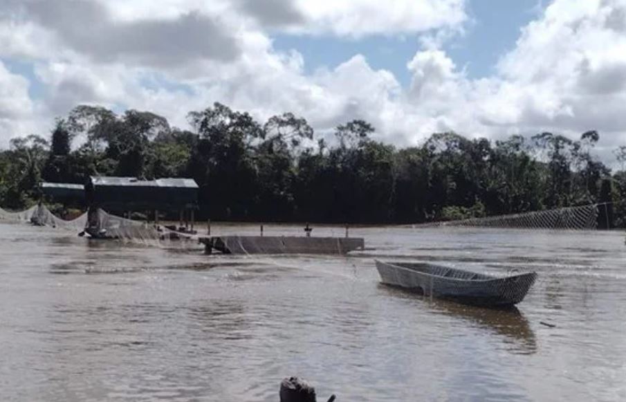 Garimpeiros atacam agentes do Ibama a tiros e um fica ferido em terra Yanomami