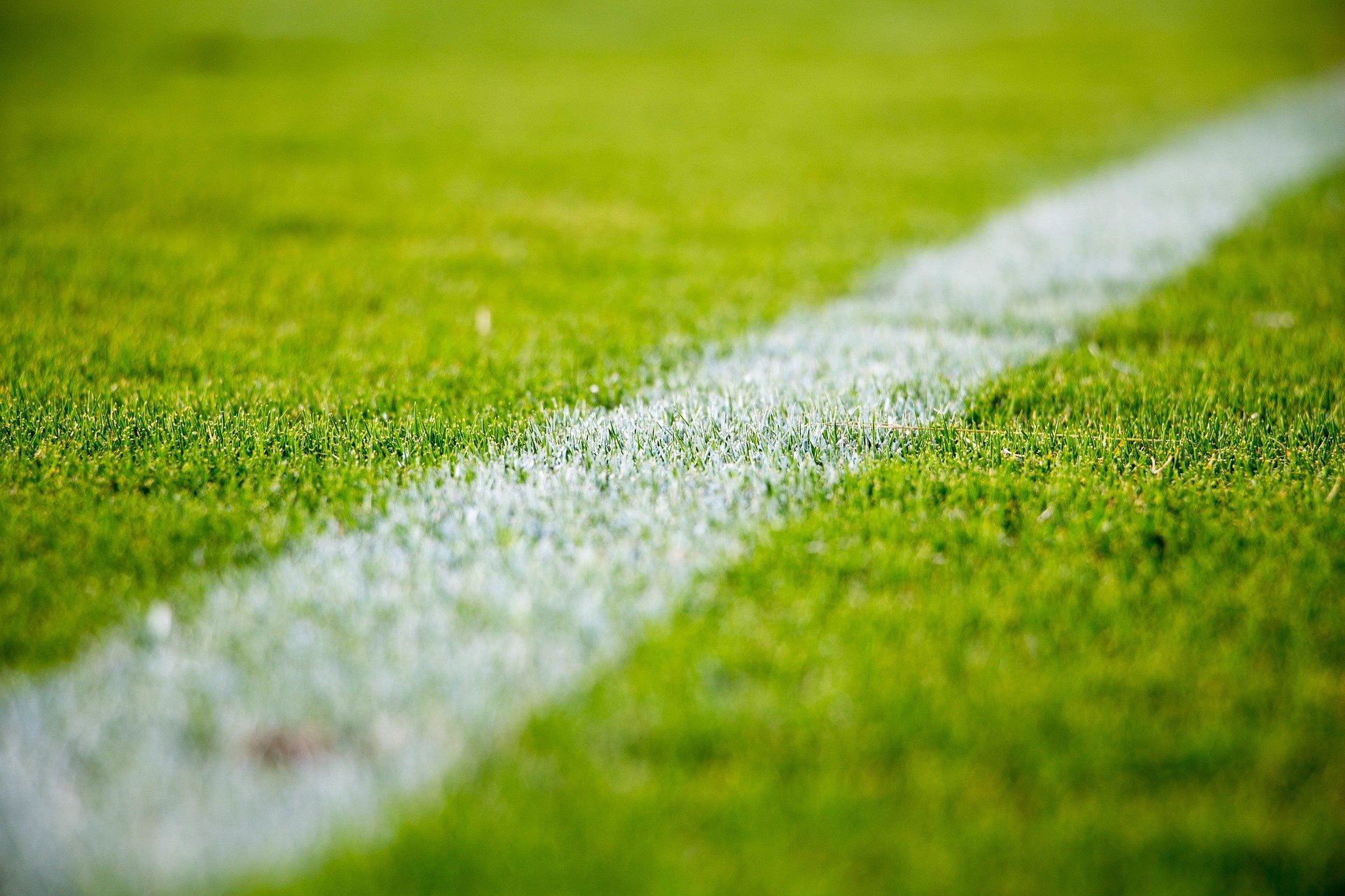 portaldoholanda-portaldoholanda-portaldoholanda-grass-26169111920-1151119-1151119-1151119.jpg