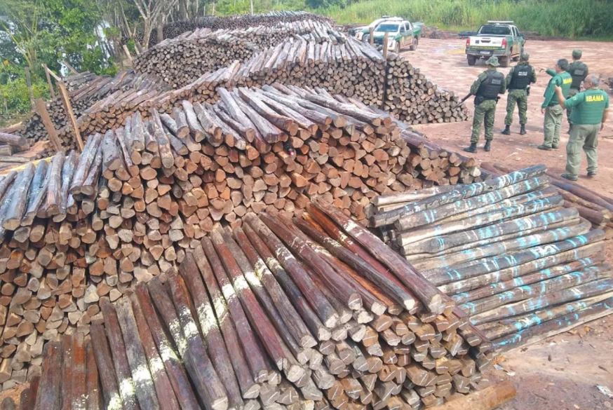 CMA aprova PL que exige autorização prévia do Ibama para retirada da Floresta Amazônica