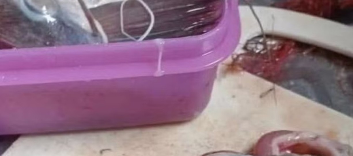 Homem se assusta ao encontrar mão misteriosa dentro de peixe