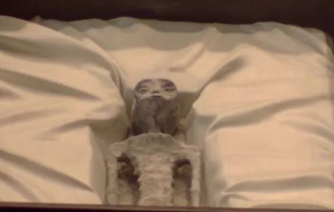 Supostos corpos de extraterrestres são exibidos na Câmara dos Deputados 