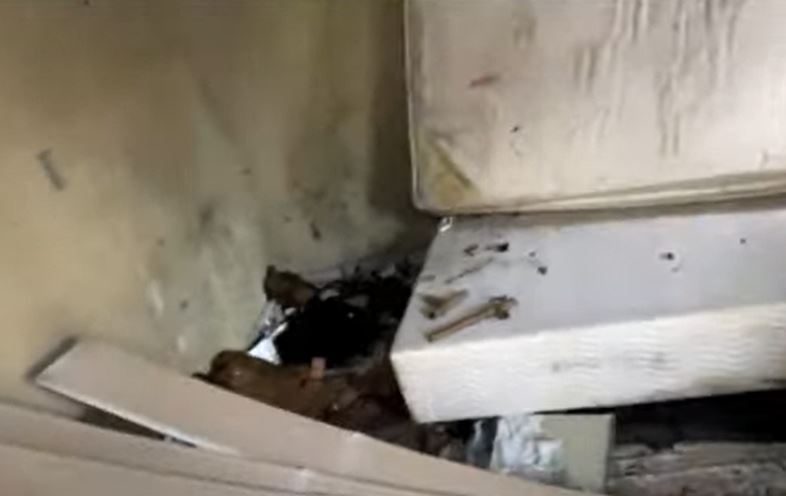 "Laboratório" de explosivos é achado na casa de homem que atacou Praça dos Três Poderes