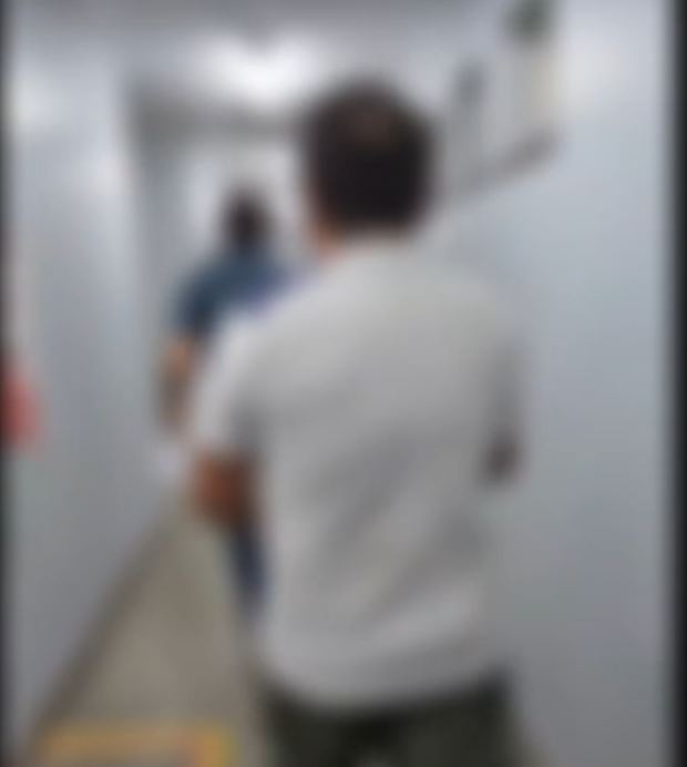 Preso, homem diz que esfaqueou cachorro até a morte por latir para ele