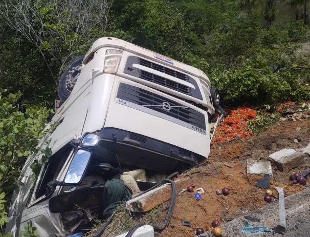 Caminhão carregado com alimentos cai em barranco na BR-174