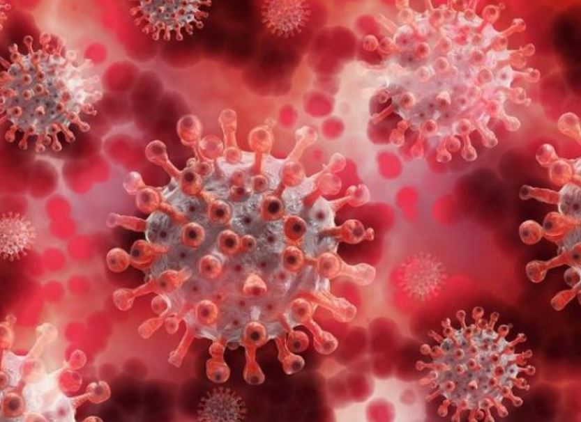 Variante Lota descoberta nos EUA é mais letal e transmissível que vírus de Wuhan