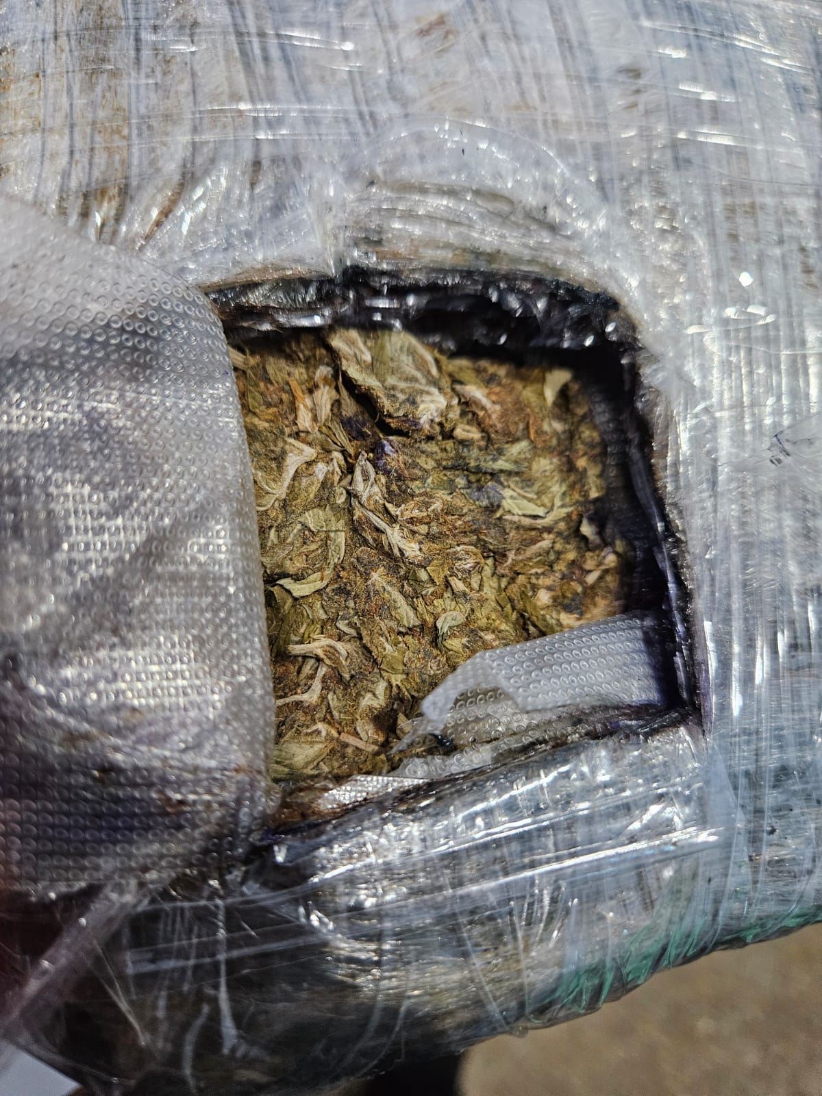 Mulheres são flagradas com mais de 20 kg de droga em lancha no Amazonas