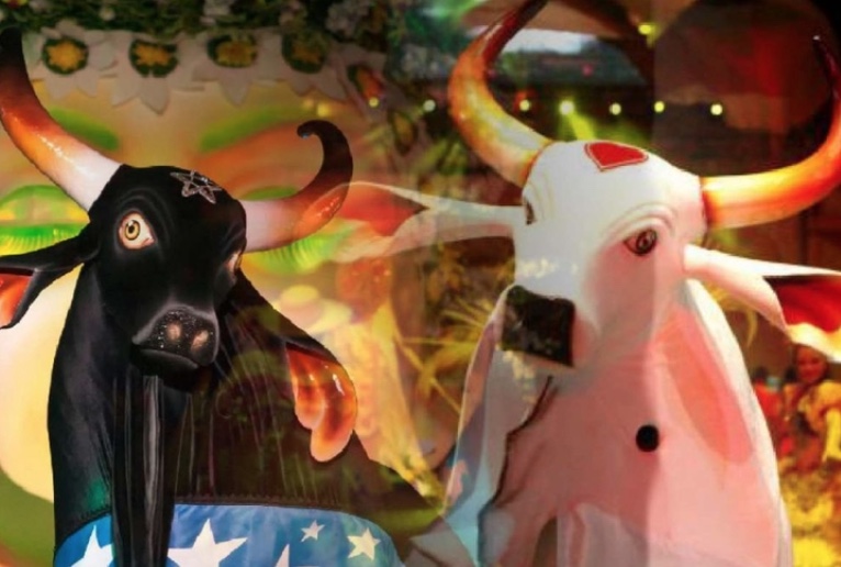 Boi Garantido lança primeiras toadas de 2025 e Boi Caprichoso divulga novo álbum