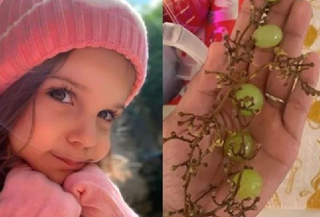 Menina de 3 anos morre após se engasgar com uva