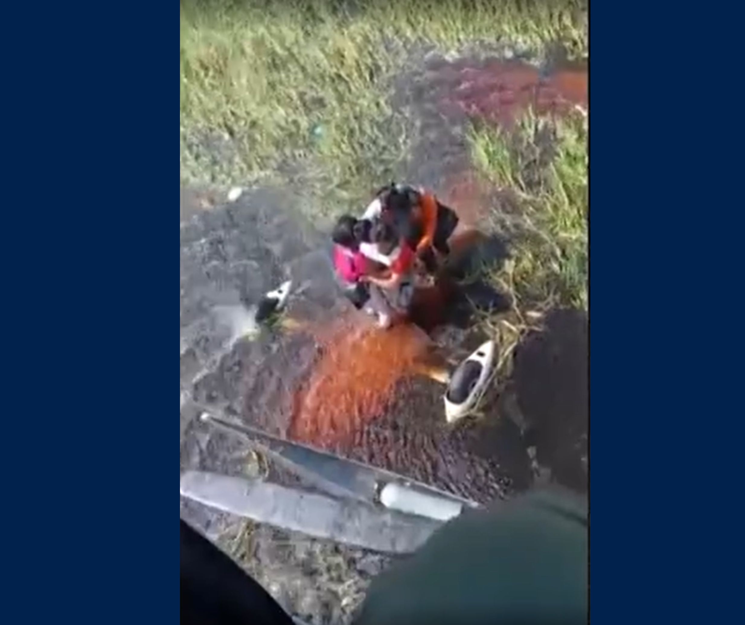 Avião cai em pântano e grupo fica preso em meio a jacarés na Amazônia boliviana