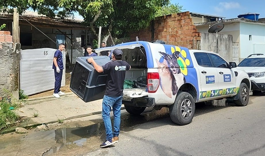 Mulher em Manaus é presa por maus-tratos contra cães em risco de vida