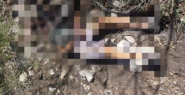 Polícia investiga crime de homem apedrejado até a morte; rosto ficou desfigurado