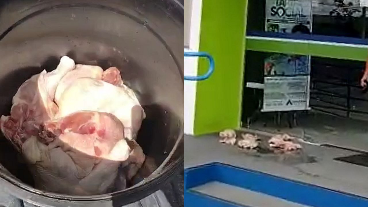 Vídeo: Revoltado, homem joga frangos estragados na porta da Amazonas Energia