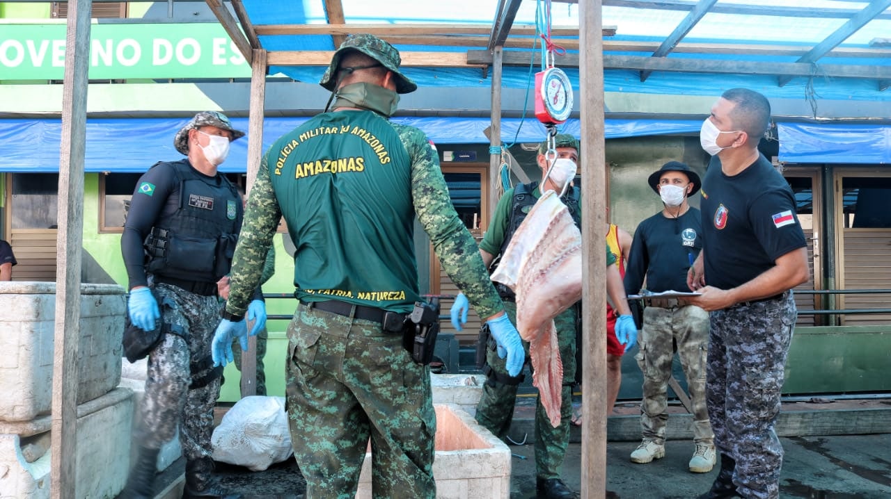 Mais de meia tonelada de pirarucu ilegal é apreendida no Rio Solimões