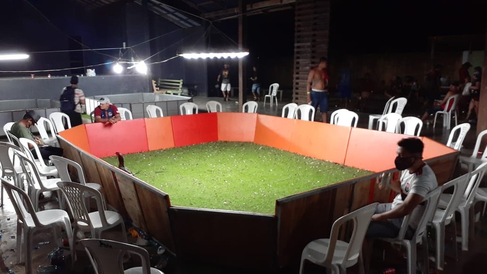 Suspeito de organizar rinha de galo é preso e 70 animais são resgatados no Amazonas