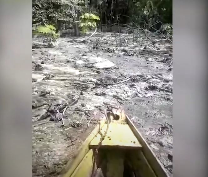 Flagra: Vídeo mostra lago poluído em Manaus; moradores acusam empresa 