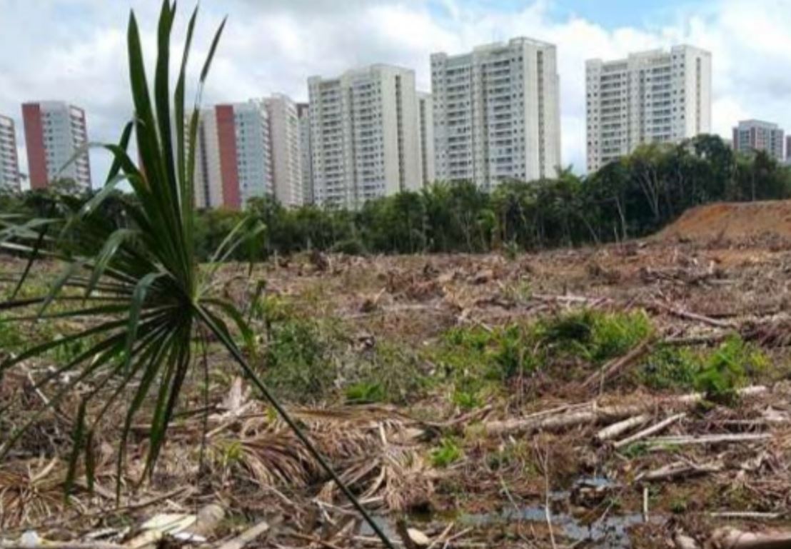MPAM investiga desmatamento de Área de Preservação Permanente na Ponta Negra