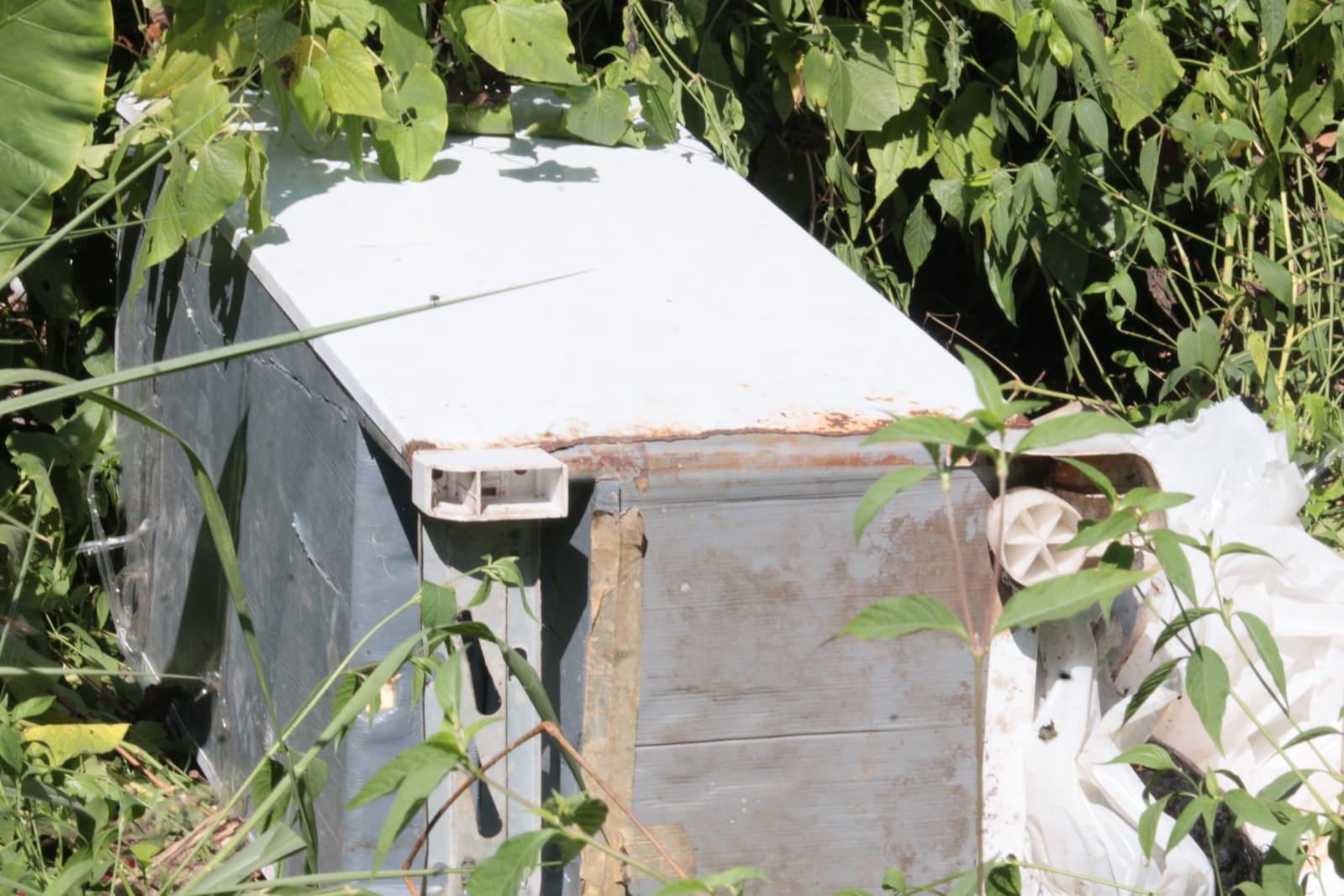 Corpo em decomposição é encontrado dentro de geladeira no Distrito Industrial