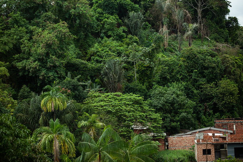 Audiência sobre ocupação em área de preservação em Manaus é marcada