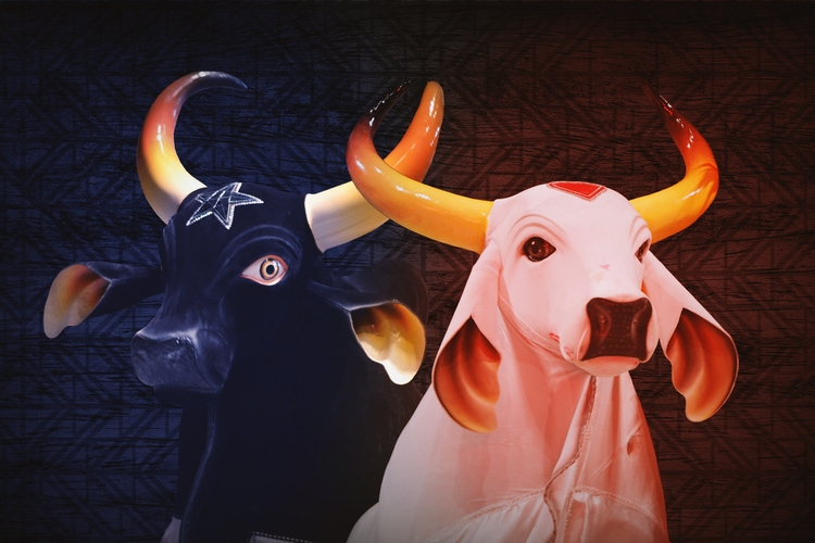 Bumbás divulgam calendário oficial de eventos da temporada 2026