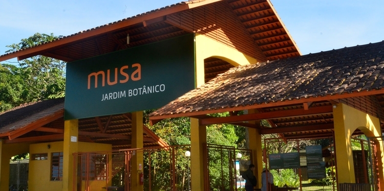 Assalto no Musa termina com grupo de visitantes amarrados em trilha