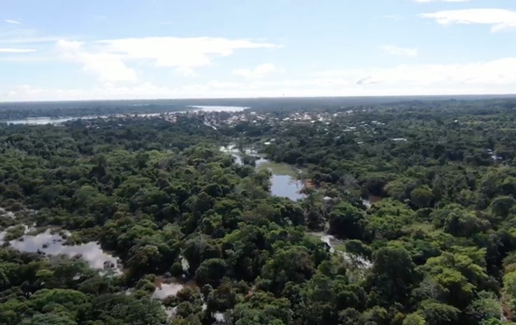 Ligação entre escavação e desaparecimento de jornalista e indigenista no Amazonas é descartada