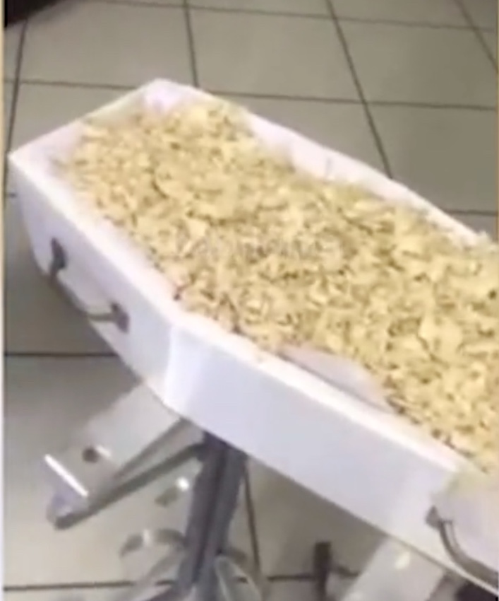 Família se desespera ao abrir caixão e encontrar serragem no lugar de corpo de bebê