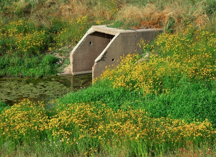 Mulher degolada é jogada dentro de tubulação de esgoto