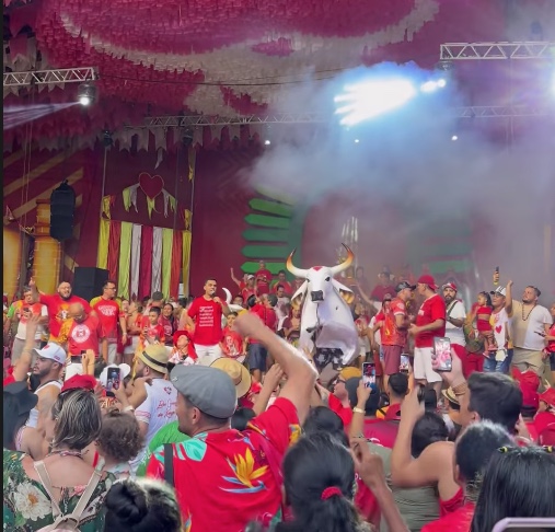 Garantido celebra vitórias individuais após derrota no Festival de Parintins