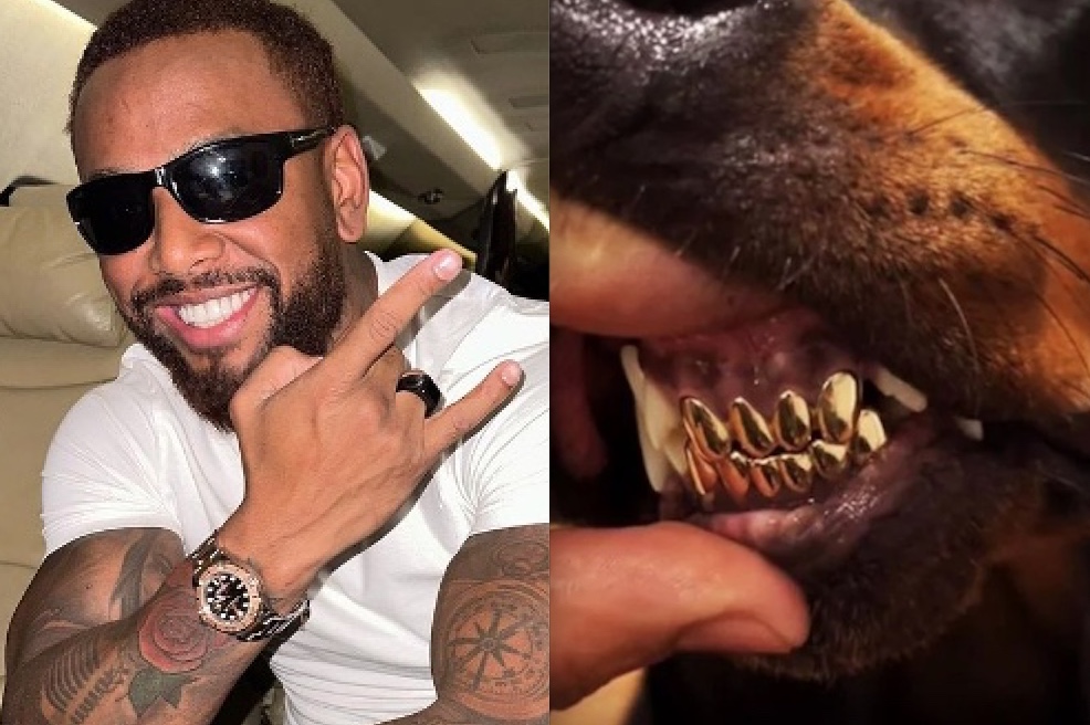 Nego do Borel posta foto de cachorro com dente de ouro e é acusado de maus-tratos