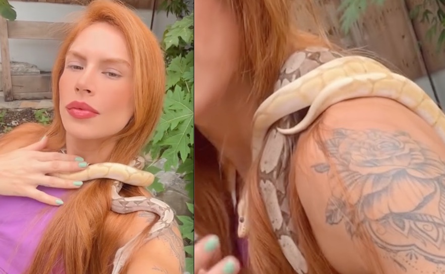 Cobras de Djidja seriam estranguladas em rituais de seita; outros animais são resgatados