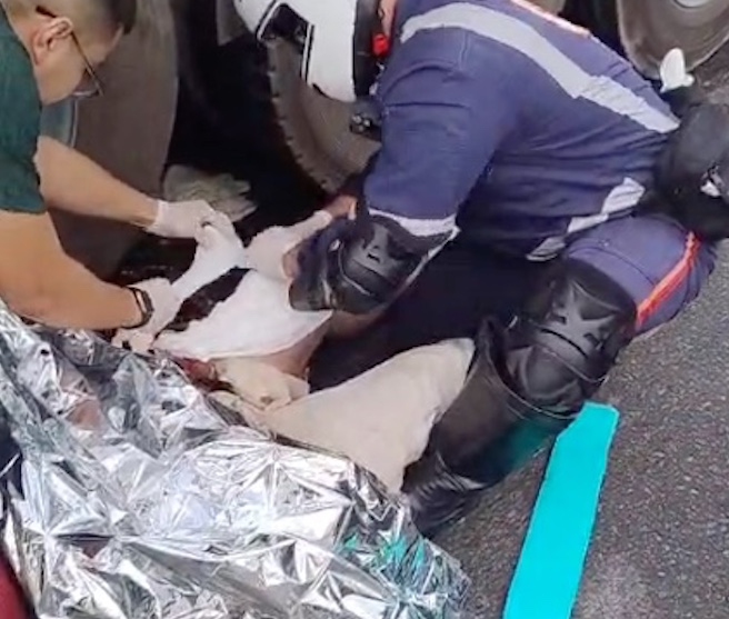 Entregadora tem perna dilacerada ao cair de moto debaixo de carreta em Manaus