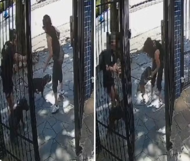 Tutora de pitbulls que atacaram mulher é indiciada