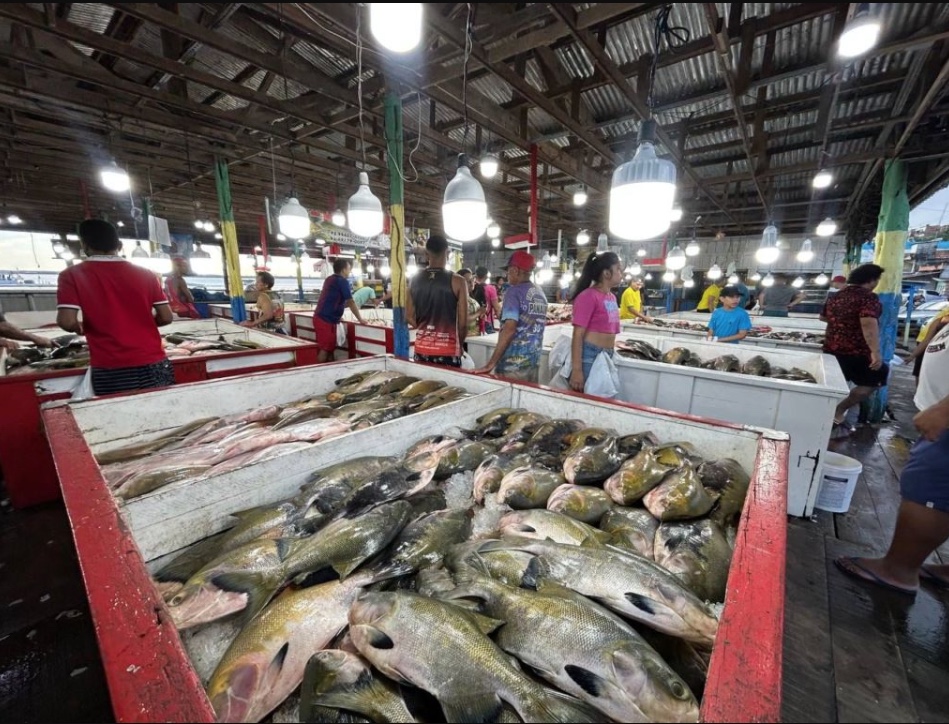 Feira da Panair será fechada temporariamente para manutenção 