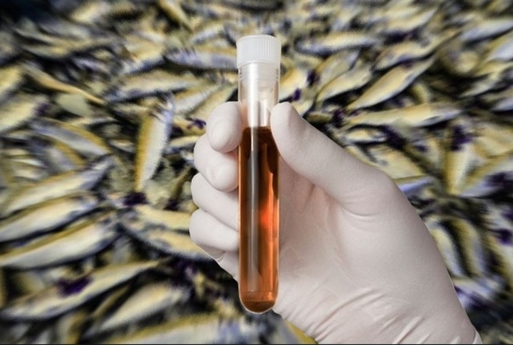 Com 124 notificações, Amazonas tem 118 casos de Doença da Urina Preta