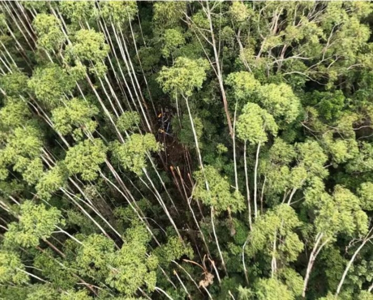 Corpos de vítimas de acidente de helicóptero são retirados de área de mata
