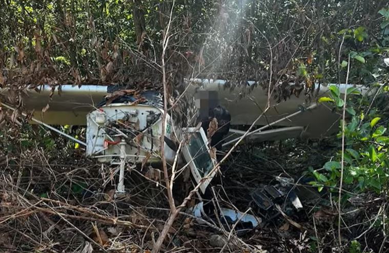 Operação encontra avião e R$ 57 milhões em cocaína no meio de floresta no Amazonas 