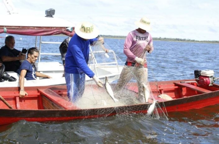 Amazonas inicia entrevistas para seguro-defeso com novas regras do MTE