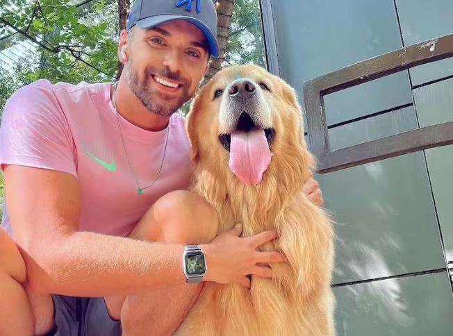 Post em perfil de golden morto após falha da Gol comove internautas: ‘Ansioso para viajar’