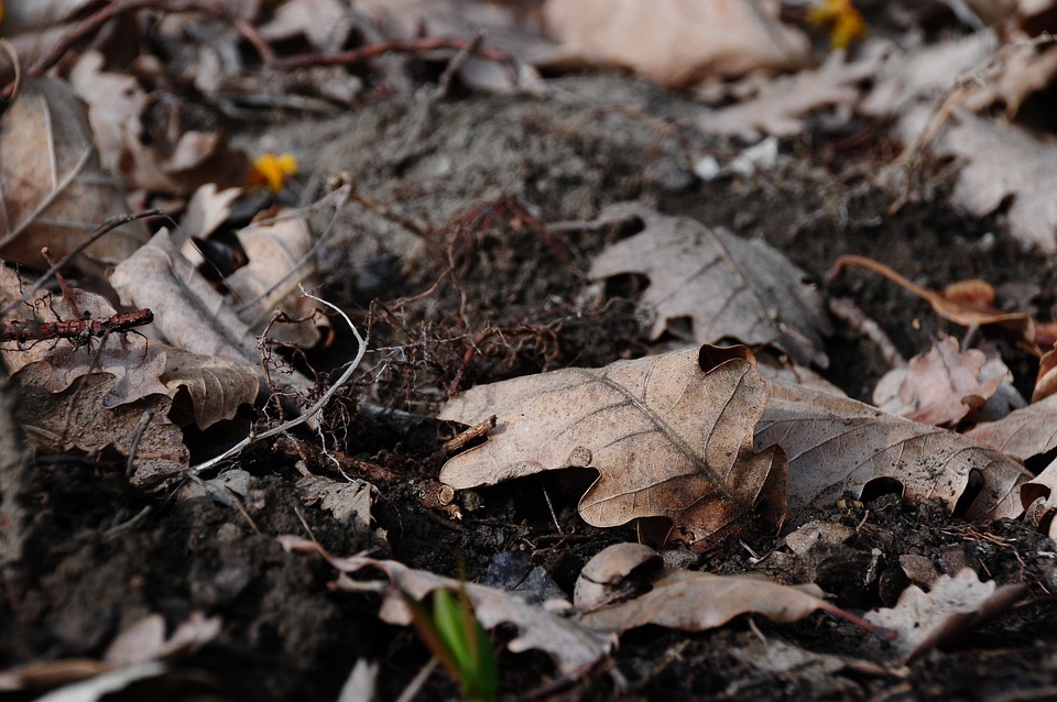 Mulher é presa suspeita de matar e enterrar bebê em comunidade no Amazonas