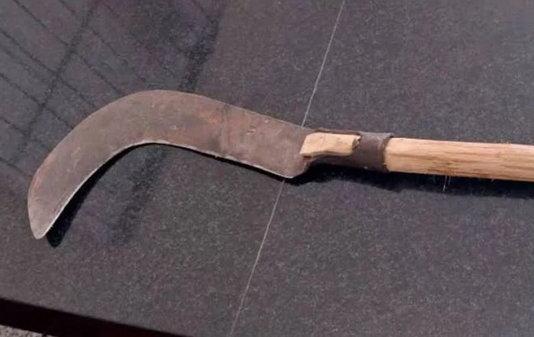 Armado com foice, homem invade escola e tenta matar estudantes e funcionários em Borba