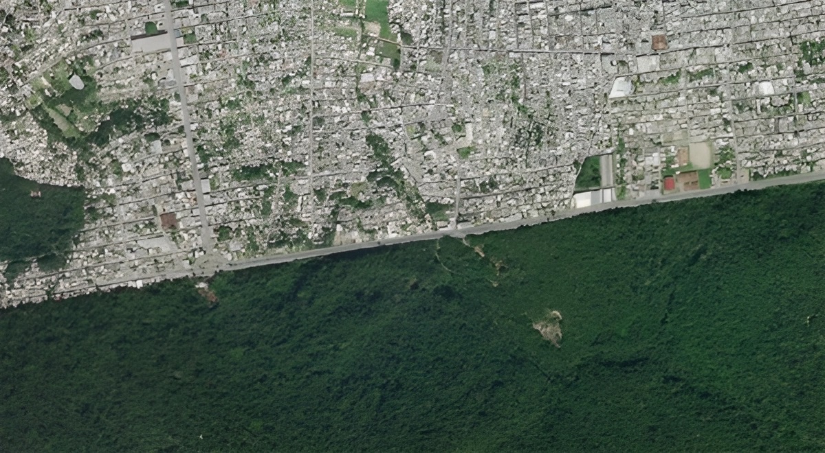 Manaus tem somente 3% de área verde urbana em sua extensão territorial 