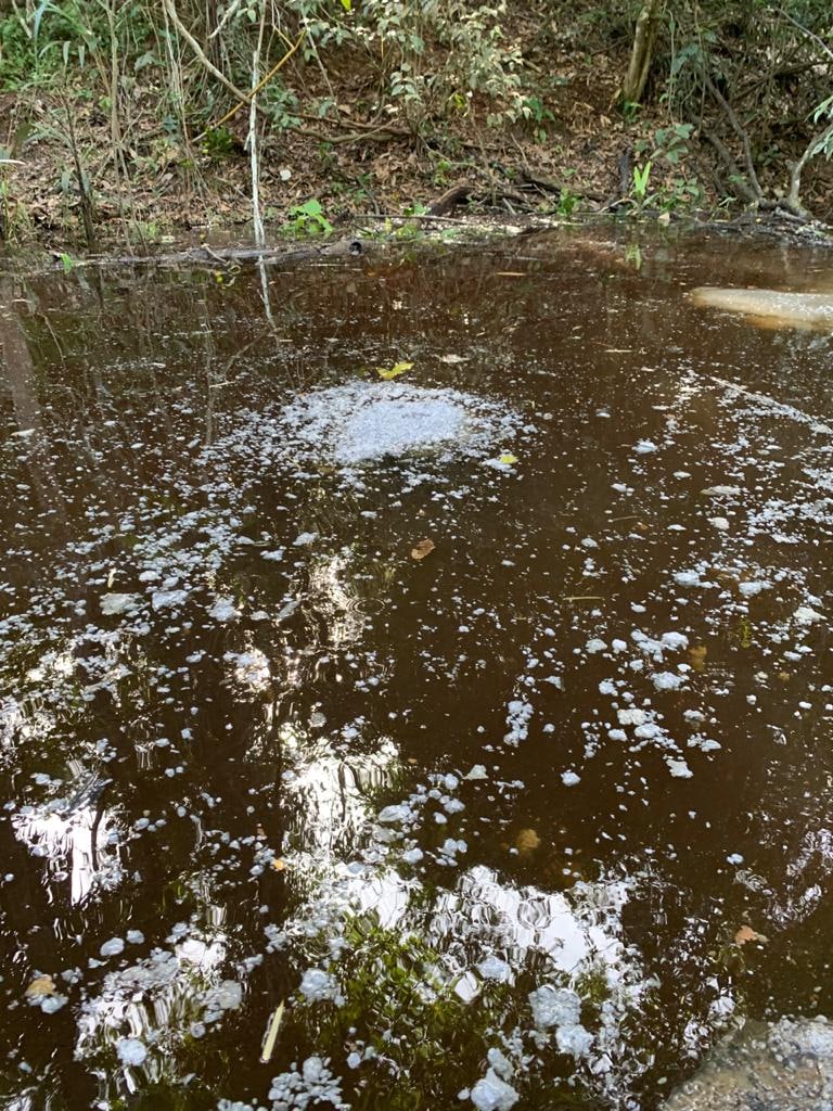 Fábrica é multada em R$ 330 mil por despejo irregular em lago, em Manaus