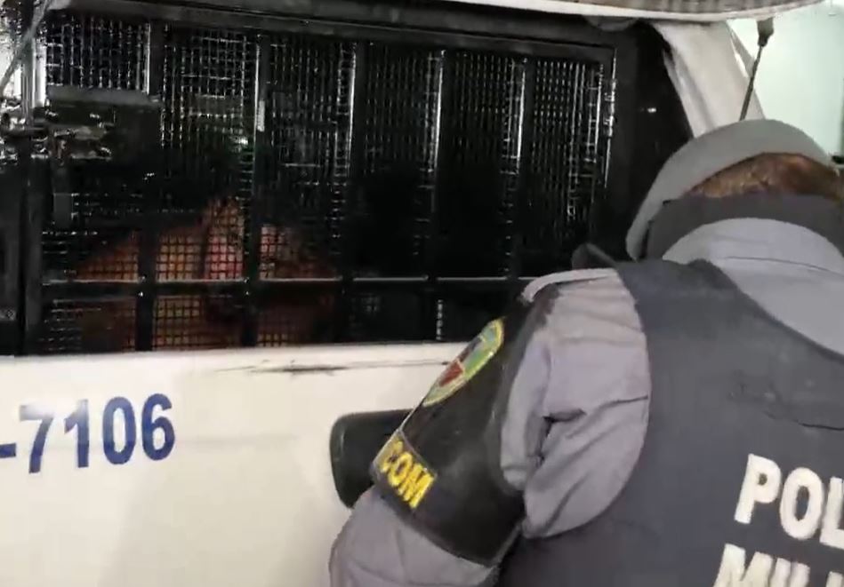 Homem é preso após tiroteio e tenta subornar PMS com R$ 10 mil em Manaus